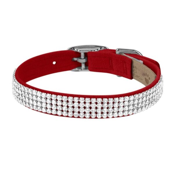 dog collar