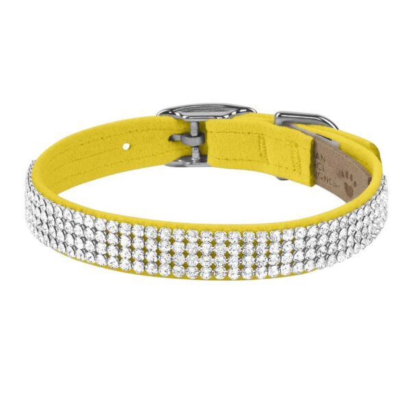 dog collar