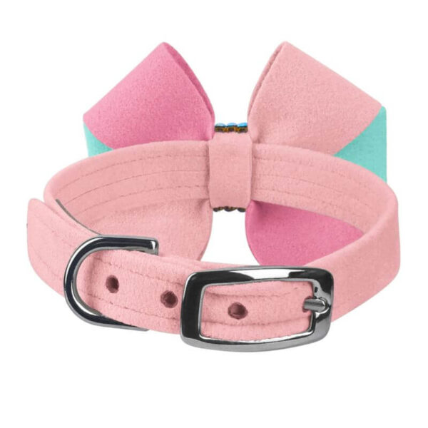 dog collar