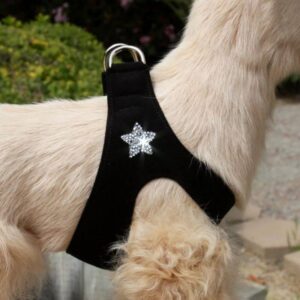 dog harness