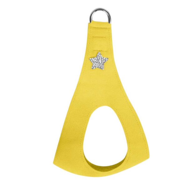 dog harness