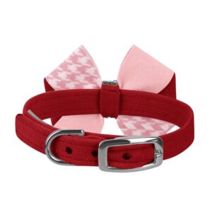 dog collar