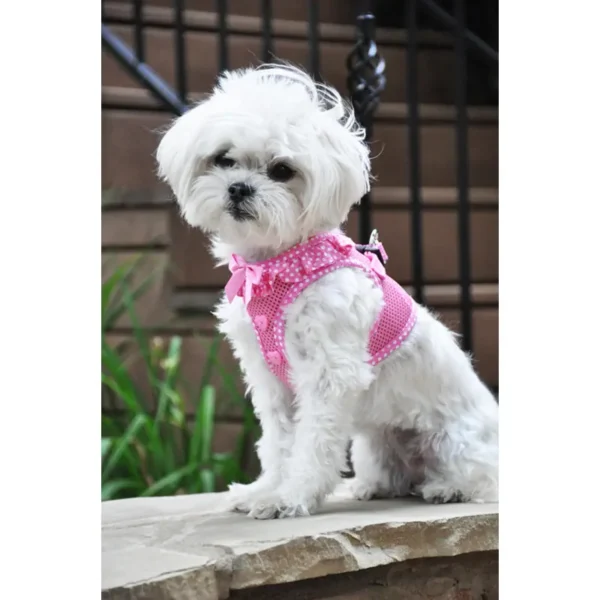 American River Dog Harness Polka Dot Collection - Image 5