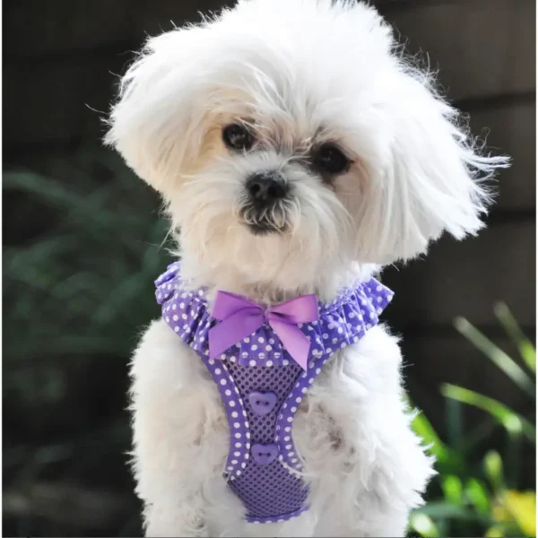 American River Dog Harness Polka Dot Collection