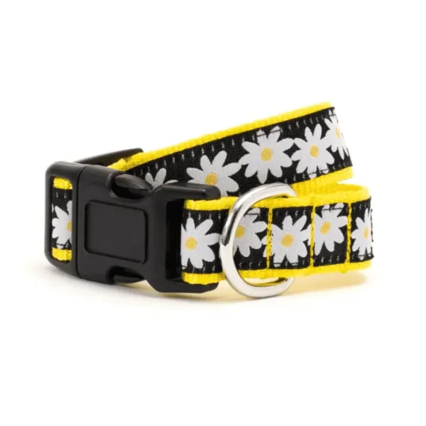Black Lazy Daisy Collar/Leash