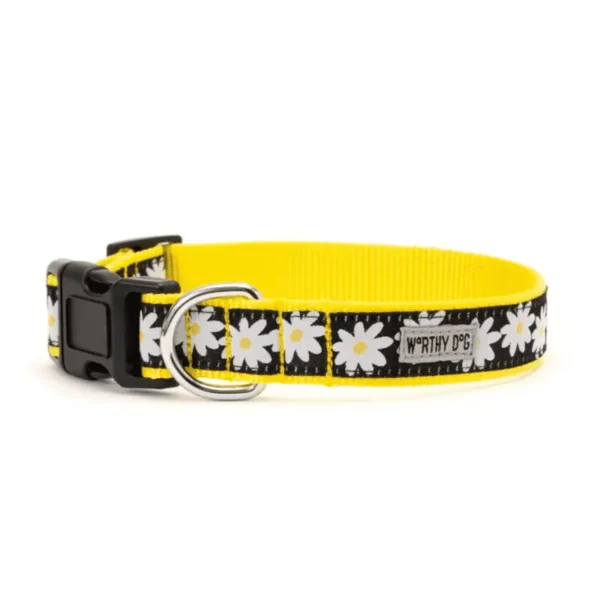 Black Lazy Daisy Collar/Leash