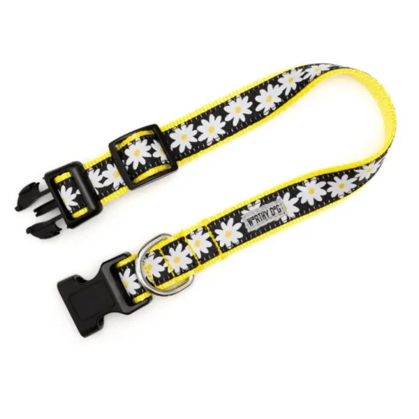 Black Lazy Daisy Collar/Leash