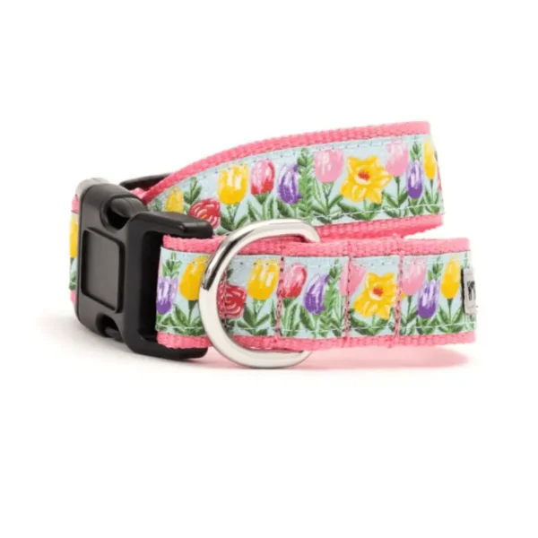 Blue Hello Spring Collar/Leash