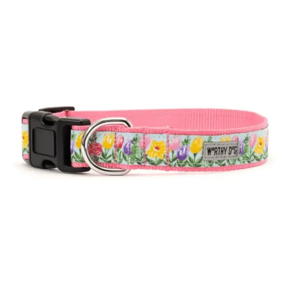Blue Hello Spring Collar/Leash