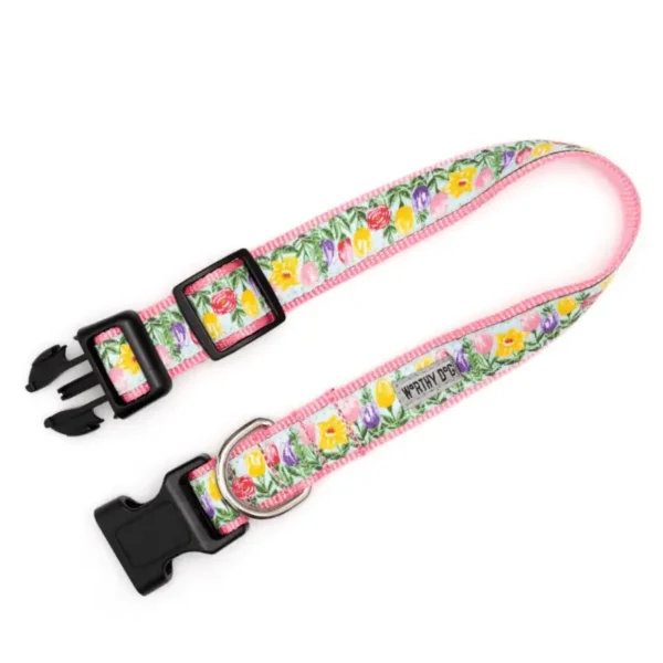 Blue Hello Spring Collar/Leash