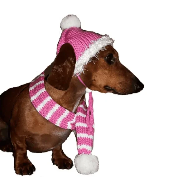 Bubblegum Pink Hat/Scarf Set