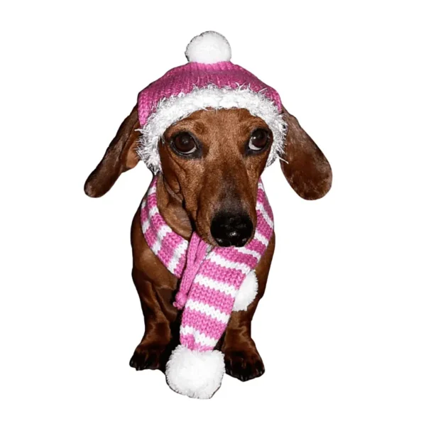 Bubblegum Pink Hat/Scarf Set