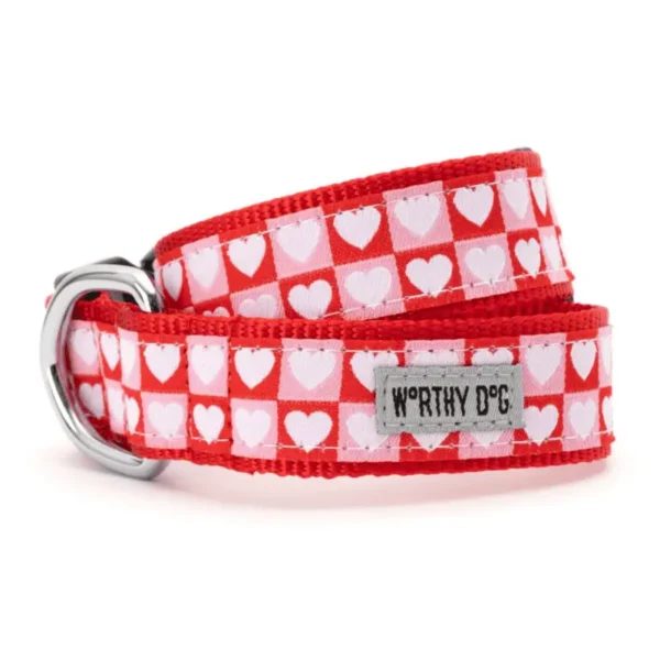 Colorblock Hearts Collar/Leash