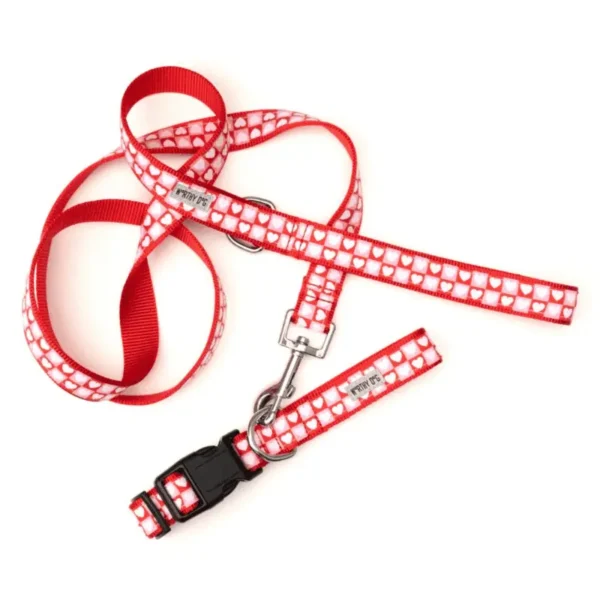 Colorblock Hearts Collar/Leash
