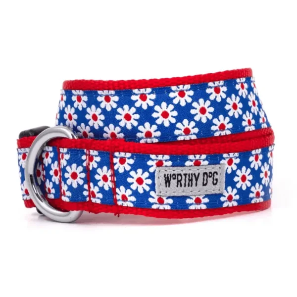 Daisies Collar/Leash