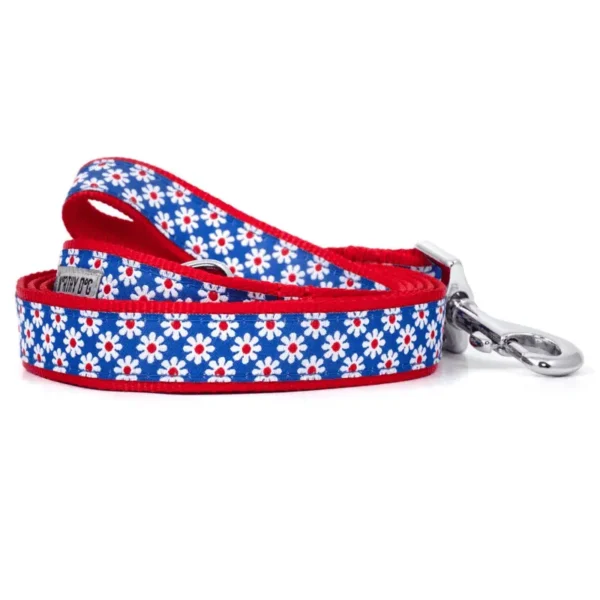 Daisies Collar/Leash