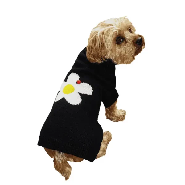 Daisy Sweater