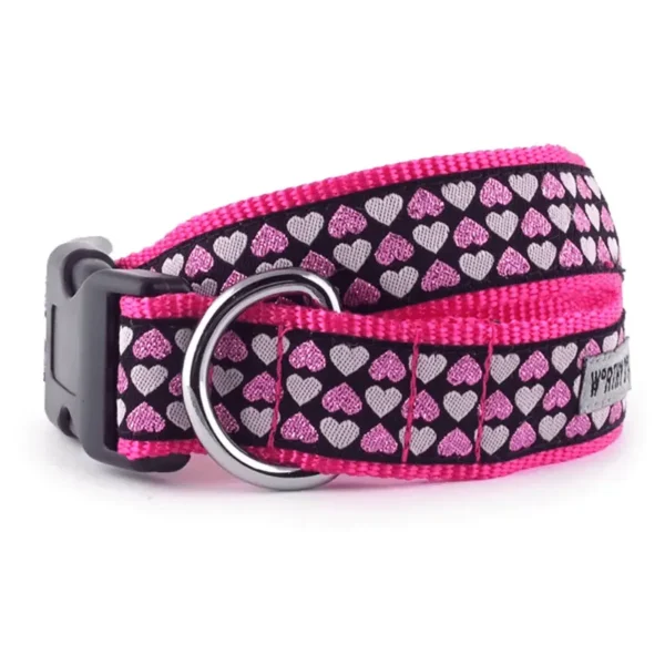 Hearts Collar/Leash