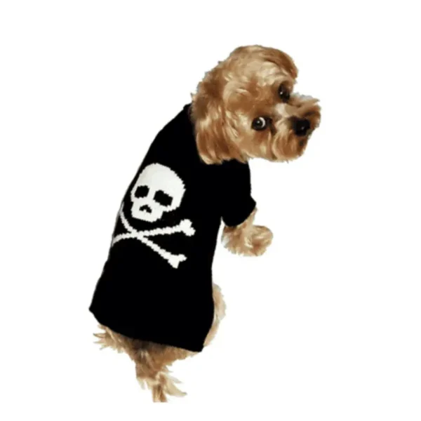 Jolly Roger Skull Sweaters for Boys