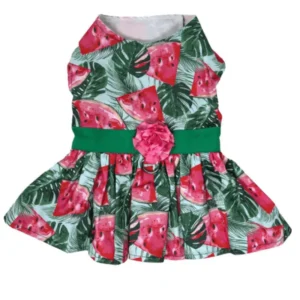 Juicy Watermelon Dog Dress
