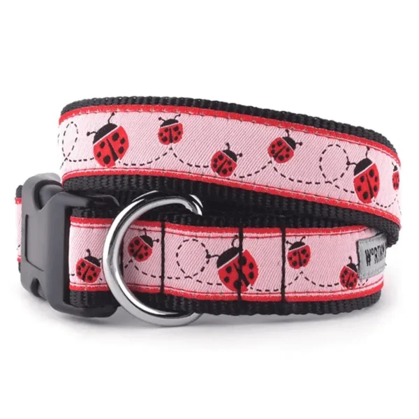 Ladybug Collar/Leash