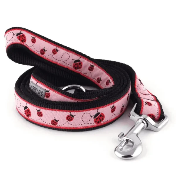 Ladybug Collar/Leash