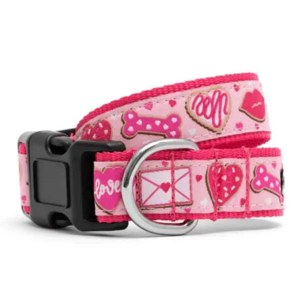 Love & Kisses Collar/Leash