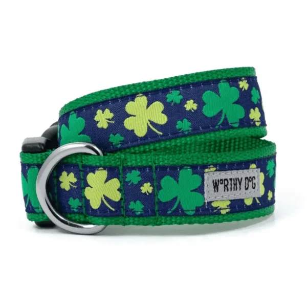 Lucky Collar/Leash