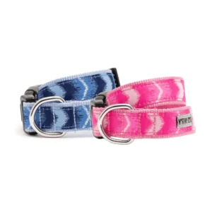 Ombre Collar/Leash