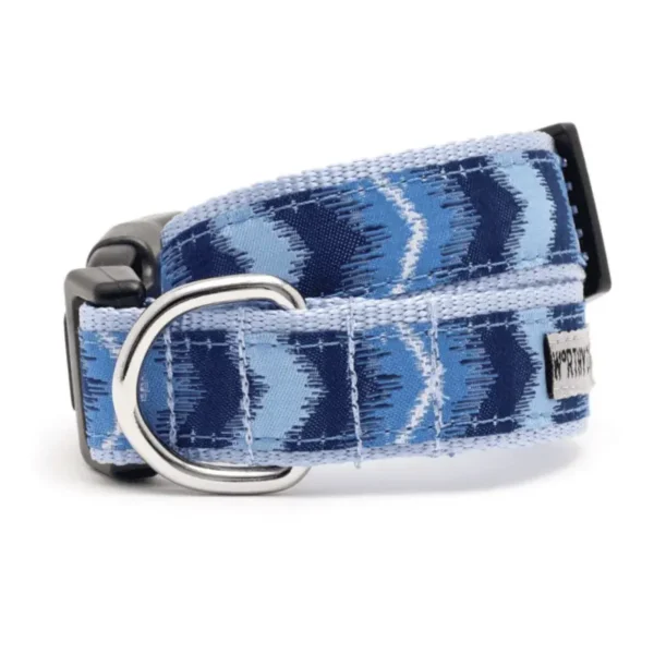 Ombre Collar/Leash