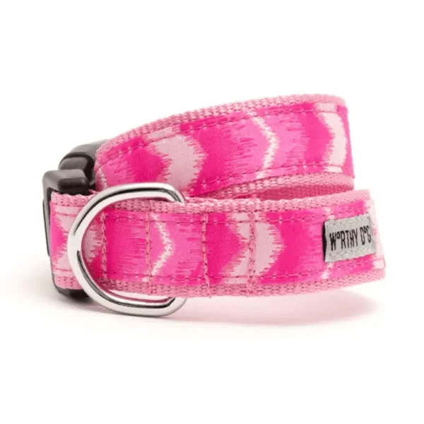 Ombre Collar/Leash