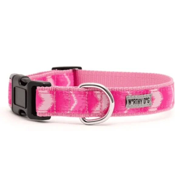 Ombre Collar/Leash