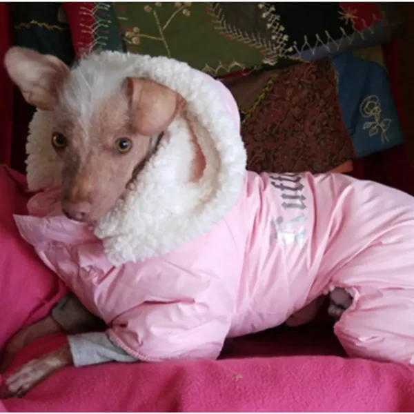 Pink Ruffin It Dog Snowsuit