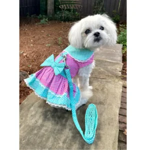 Pink and Teal Polka Dot and LaceDress w/ Leash