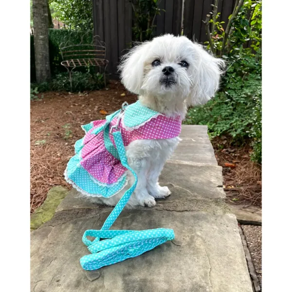 Pink and Teal Polka Dot and LaceDress w/ Leash