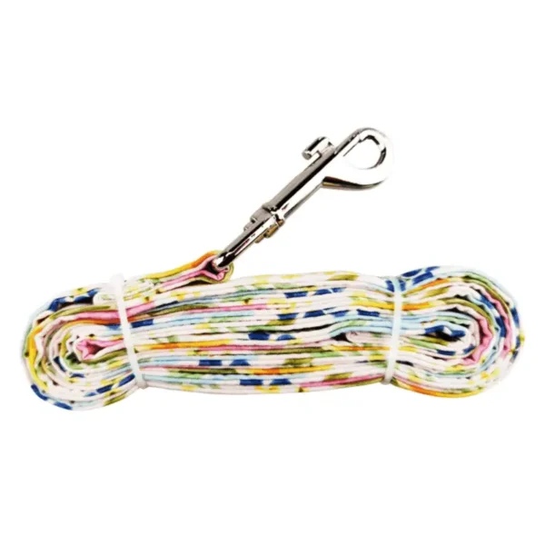 dog leash
