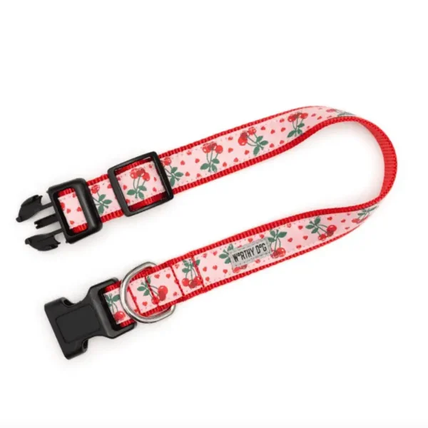 A pink dog collar with a cherry pattern and a black buckle.