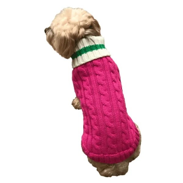 Preppy Puppy Sweater