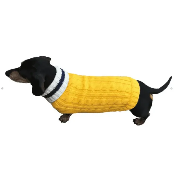 Preppy Puppy Sweater for Dogs - Image 4
