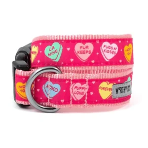Puppy Love Collar/Leash