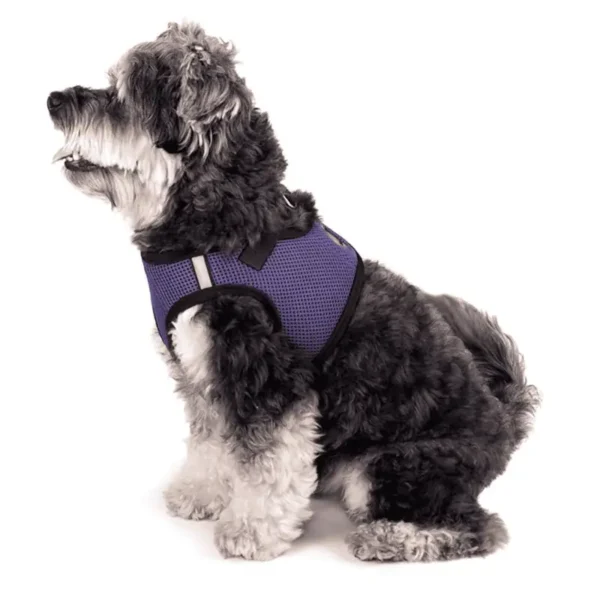 A black and gray dog wearing a purple harness, sitting in profile.