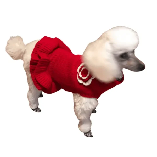 Red Sweater Dress