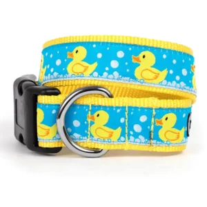 A colorful dog collar with a blue background featuring yellow rubber duck designs and white bubbles.