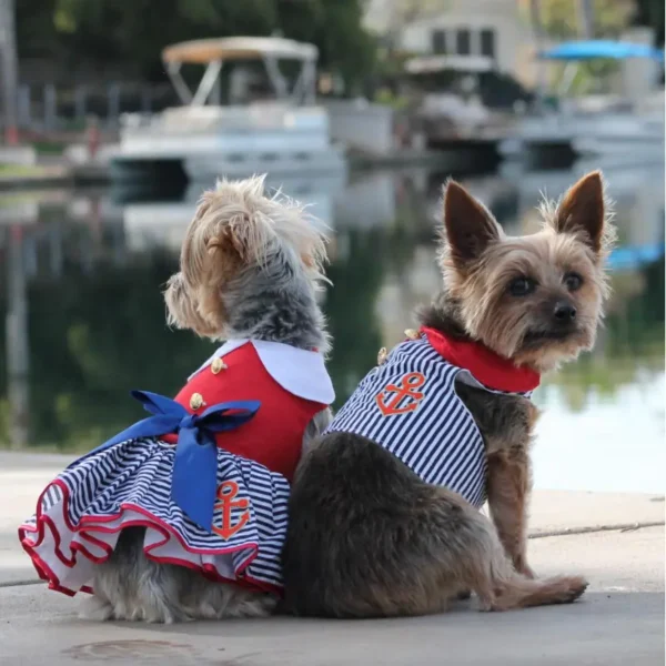 Sailor Girl Dress w/ Matching Leash