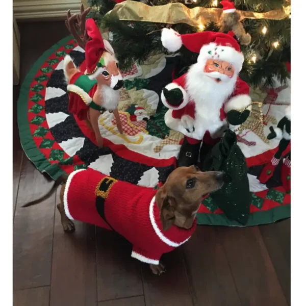 Santa Paws Sweater