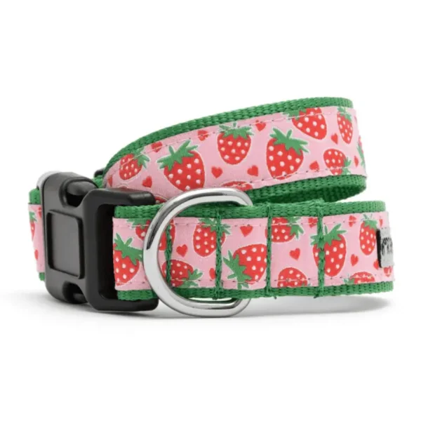 Strawberries Collar/Leash