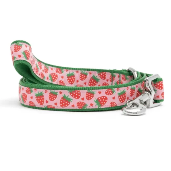 Strawberries Collar/Leash