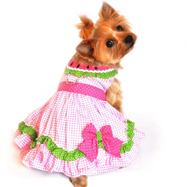 Watermelon Harness Dress