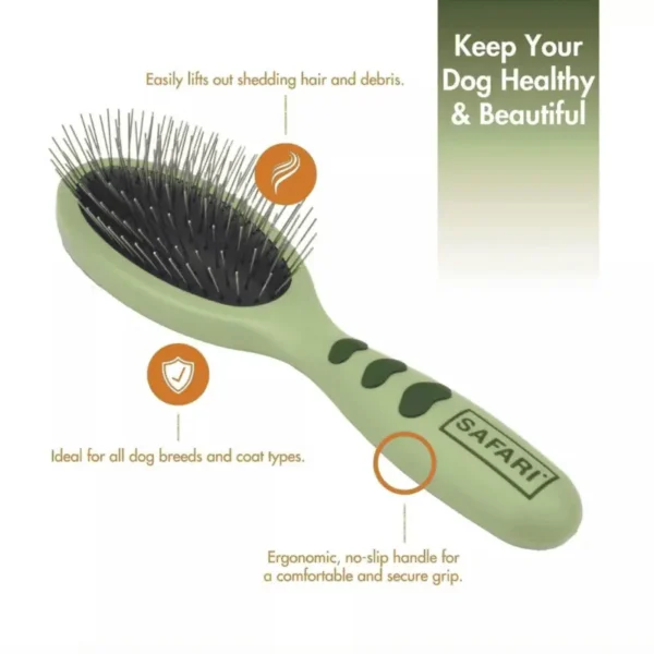 Wire Pin Dog Brush