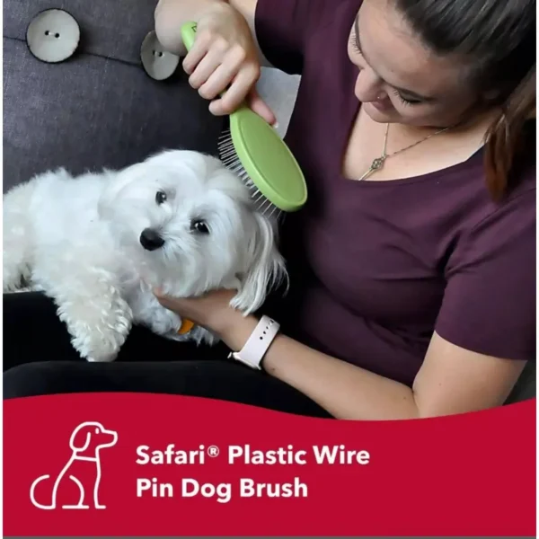 Wire Pin Dog Brush